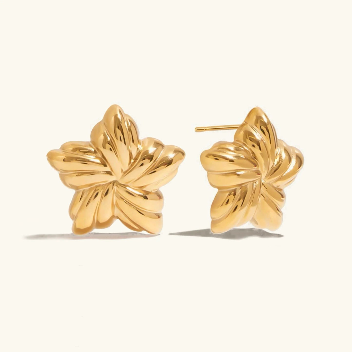 [Royal Vicky]Thymes Gold Star Earrings