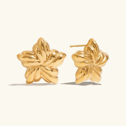 [Royal Vicky]Thymes Gold Star Earrings