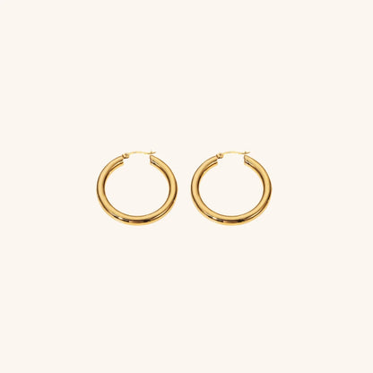 [Royal Vicky]Wide Hoop Earrings