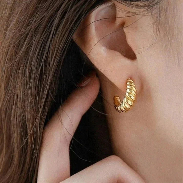 [Royal Vicky]Croissant Arc Earrings