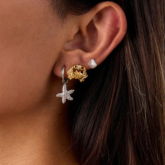 [Royal Vicky]Cheyenne Seaside Essential Earrings Bundle