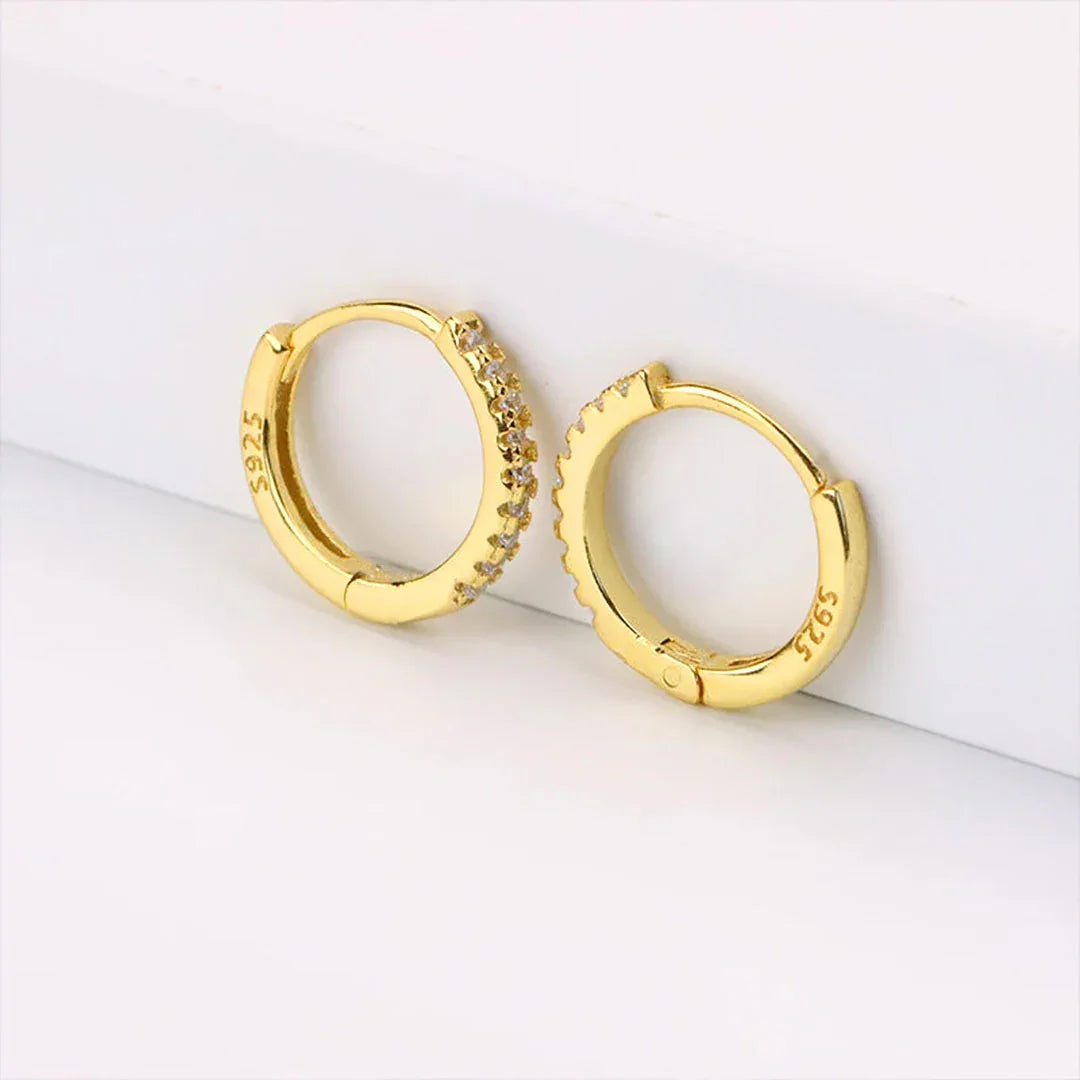 [Royal Vicky]Terra Huggie Earrings